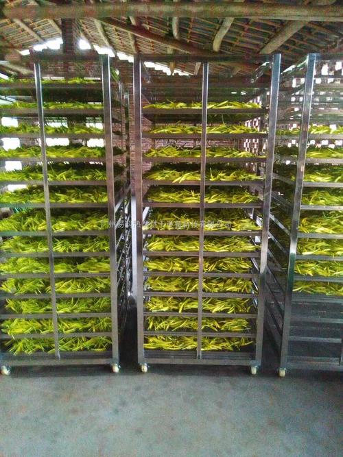 黃花菜烘干機、黃花菜烘干設備、黃花菜干燥機、黃花菜干燥設備、